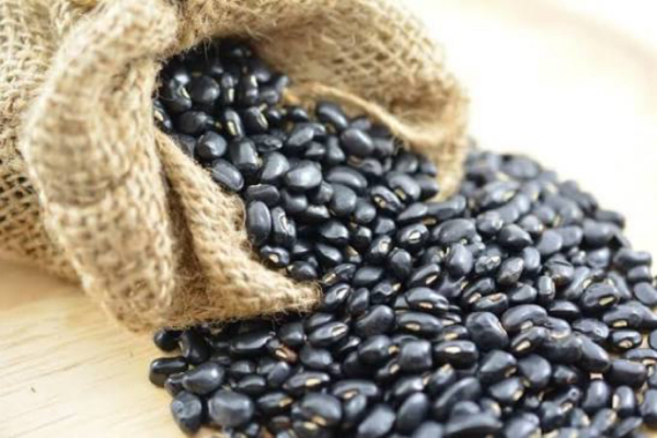 实皆省委勒县区现财年冬季已完成2千多英亩黑麦豆的种植工作