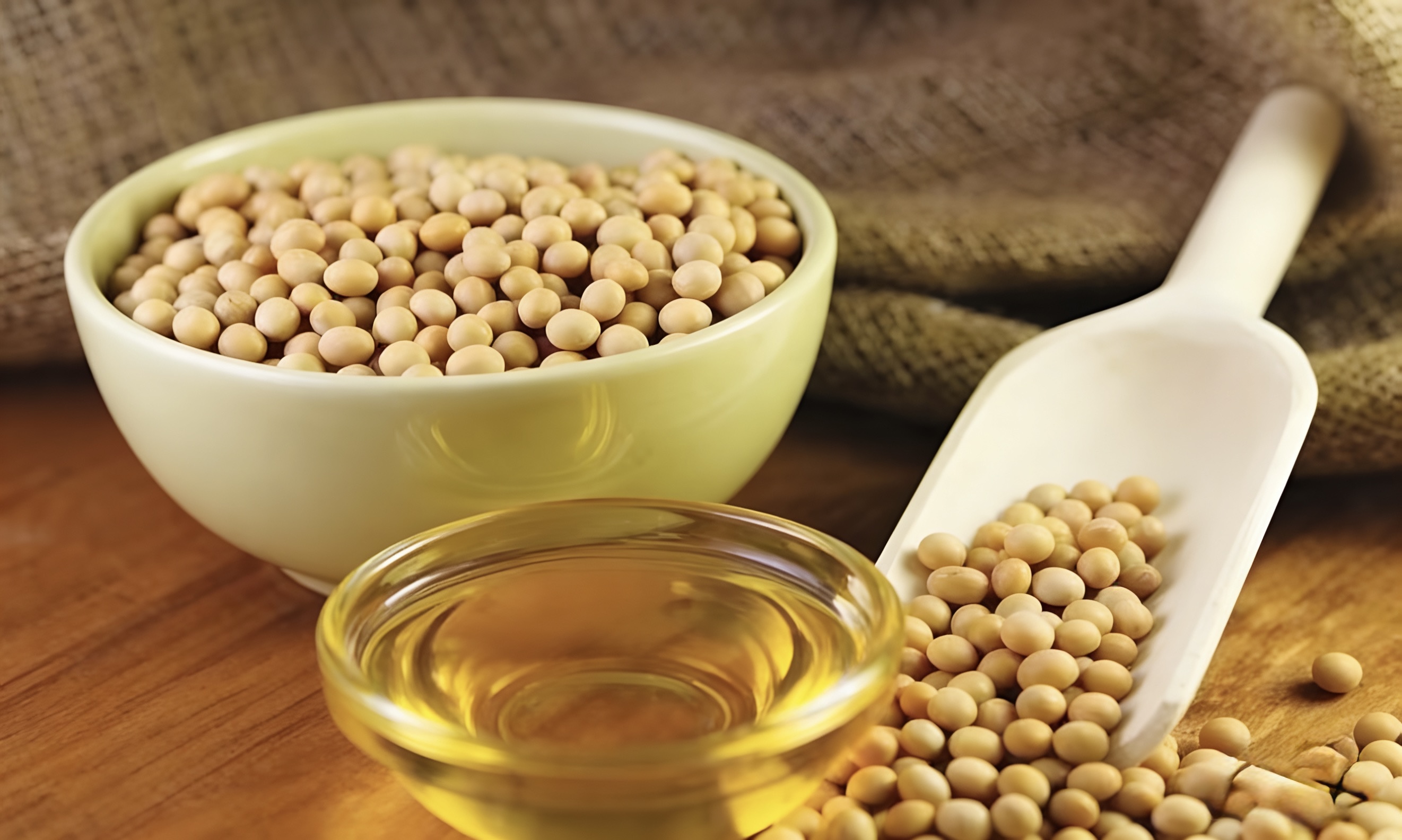 缅国营农业公司拟从美进口大豆 压榨豆油销往国外