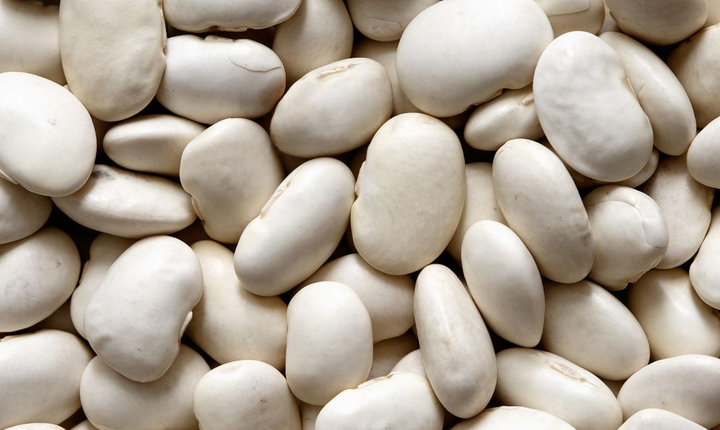 实皆省瑞帽专区皎苗分县区作为冬作物种植的黄油豆完成采收工作