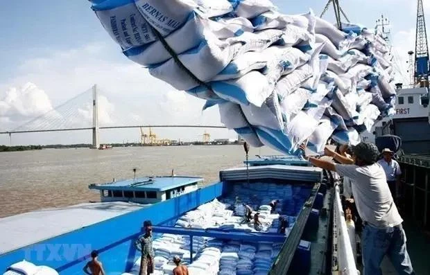越南国家今年头5个月向国外出口大米获20多亿美元收入