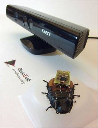 “小强”变身搜救者 美利用Xbox Kinect遥控