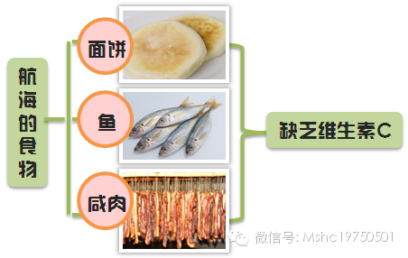 大自然的抗生素~维生素C