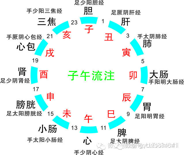 全身疾病 由经络主宰