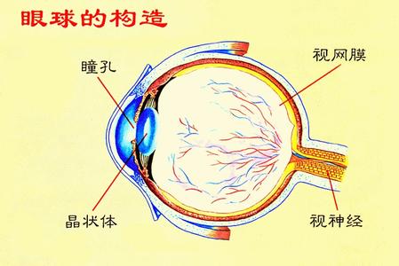 眼科知识大全