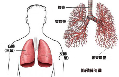 当今保持肺的清洁最重要?