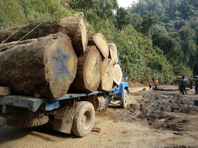 缅甸军队抓上百中国伐木者 大批人员及车辆被抓扣