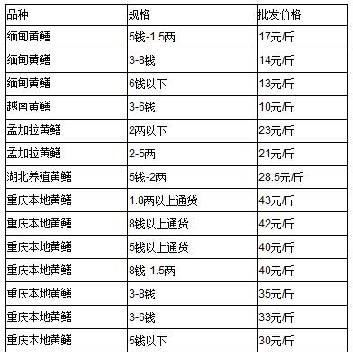 2月2日缅甸黄鳝批发价格(重庆渝中区水产市场)