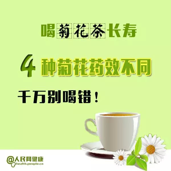 喝菊花茶长寿！4种菊花药效大不同，喝错反伤身