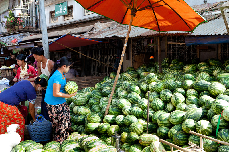 缅甸西瓜在华市场行情看好
