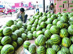 缅甸产台湾品种西瓜在大陆走俏 (华轩）