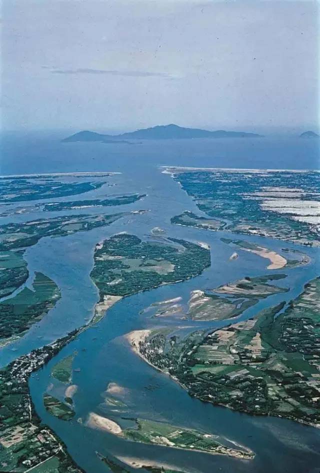 湄公河流域5个国家发布红木禁止令