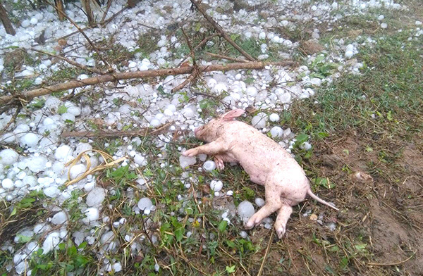 原创：缅甸中部地区降冰雹大风已造成13人死亡