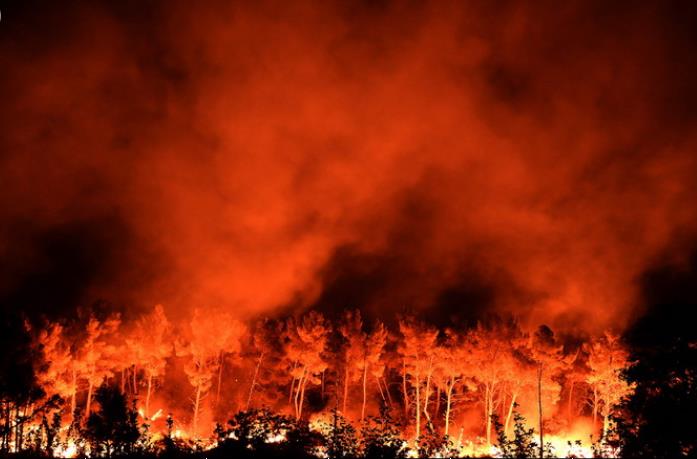 法国南部发生山火 过火面积达1000公顷 (组图）