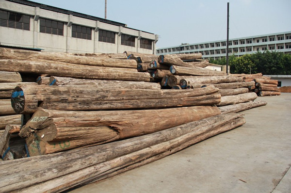 缅甸允许商家进口木材原材生产木制品！