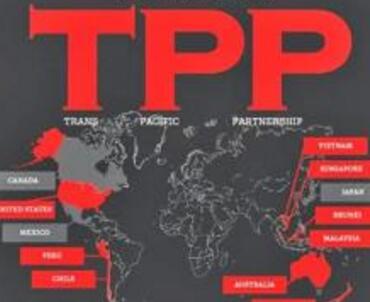 越南推迟审批TPP 德媒:TPP被打耳光