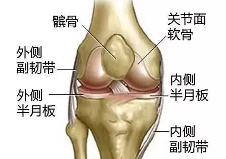 最新膝盖使用说明书，不收藏太亏啦