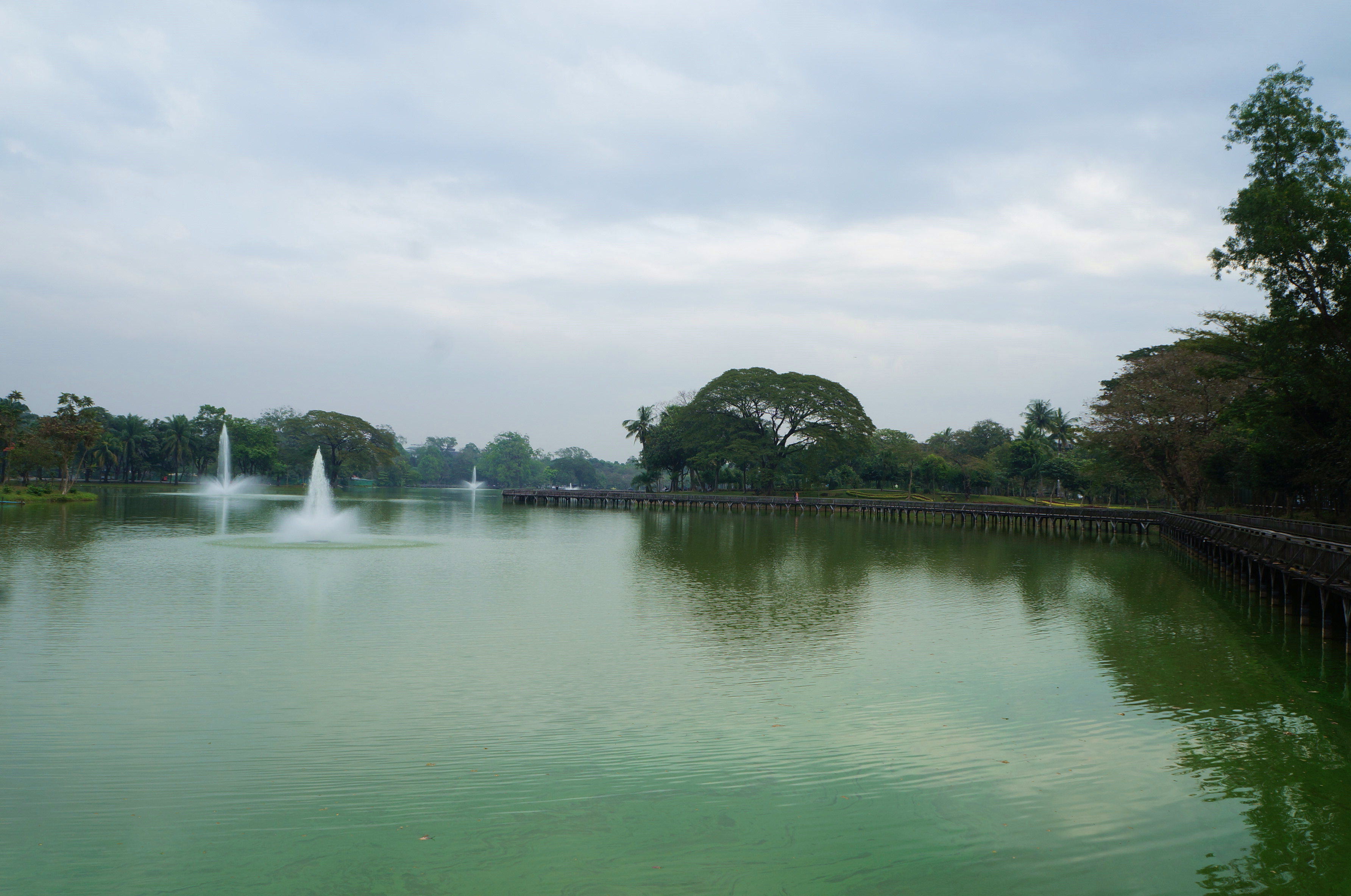 缅甸仰光——皇家湖公园