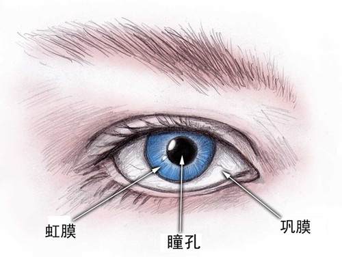 当心青光眼偷走你的视力