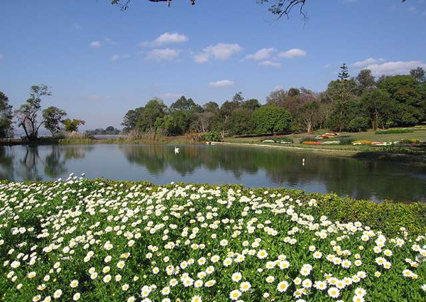 缅甸皇家植物园