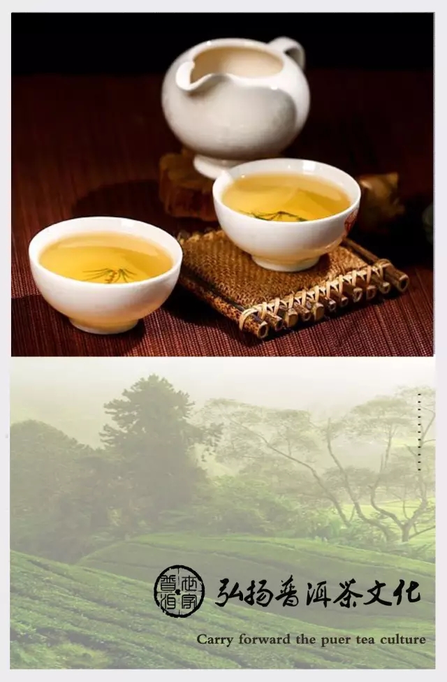 茶，你真的懂吗？