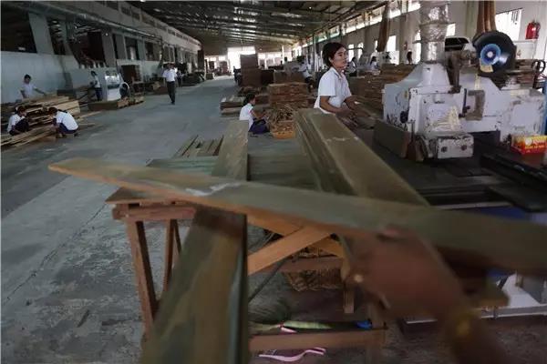 缅甸将恢复木材生产