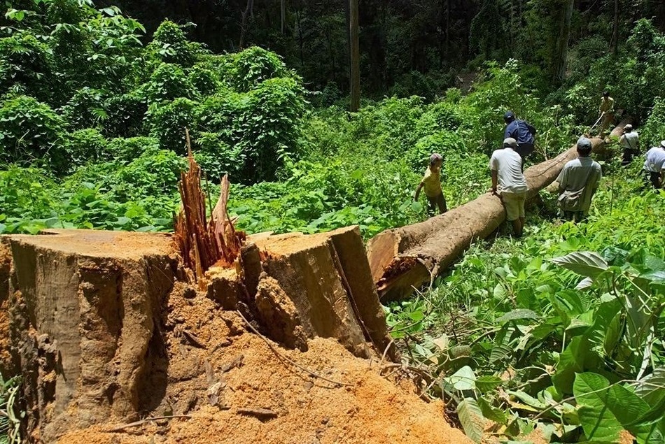 当局表示2017-2018财年开始计划实施每年3.6万英亩植树造林环保项目