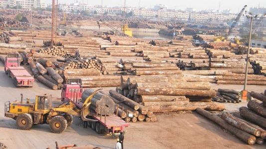 缅甸将停止木材出口 木门市场或受影响