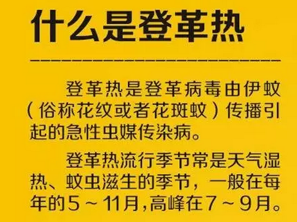 小村庄内100多人出现登革热症状