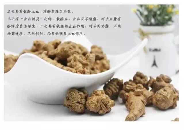 三七加蜂蜜的用法 附：藤三七和三七的区别