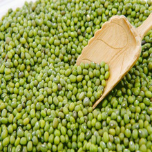 缅甸新绿豆畅销中国市场