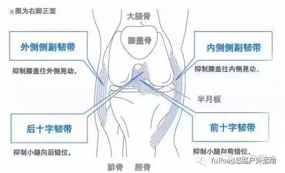 绝对干货！膝盖损伤修复的知识一网打尽！