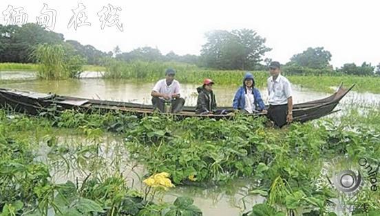 洪水侵袭导致马圭省1700余英亩农田受损