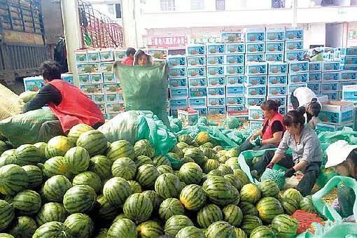 缅甸出口水果95%销往中国