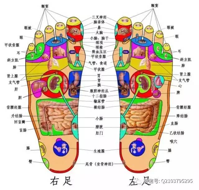 高血压、心慌、腰疼、颈椎疼、膝盖疼…按按它，一分钟就舒服了