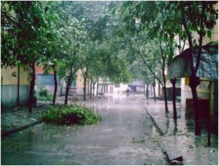 《那一年的雨季》——张舒芳