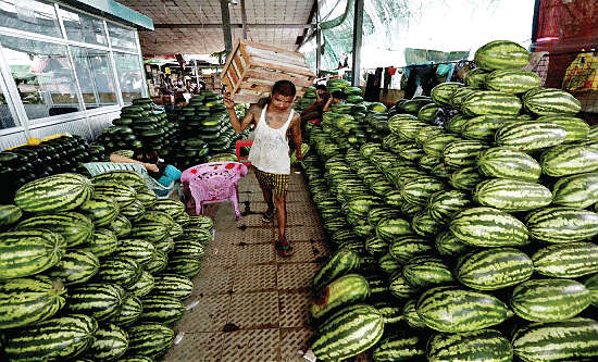 中国企业家亲自在缅甸种植瓜果