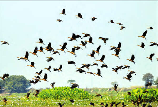 莫云基湖的国内外游客一年比一年增多