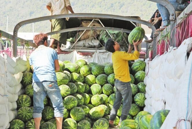 1.7万余吨缅甸水果助兴春节