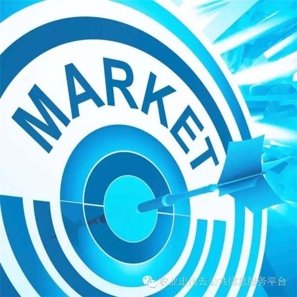 缅甸鼓励食用油生产以减少进口依赖