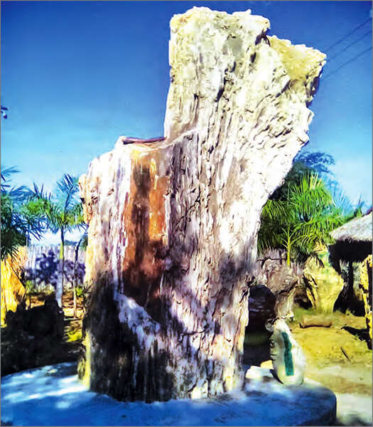 采用大型机械挖取树化石的现象