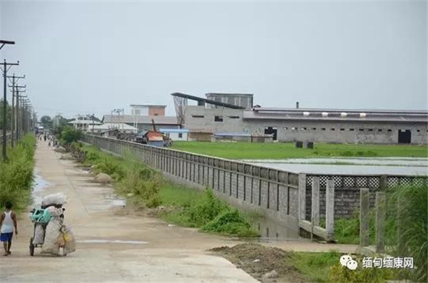 议员敦促政府制定法律保护投资者 管理工业发展