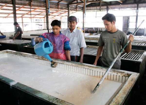 缅甸将扩大生产天然橡胶