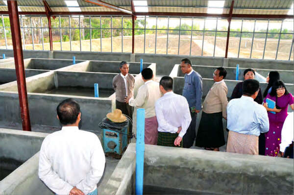 联邦部长视察海虾饲养业的工作情况