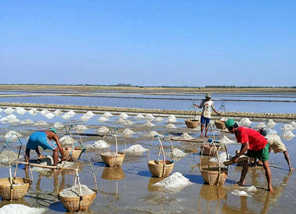 大雨提前来袭，盐农们不得不提早结束盐田工作