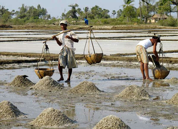 缅甸盐业发展面临困境
