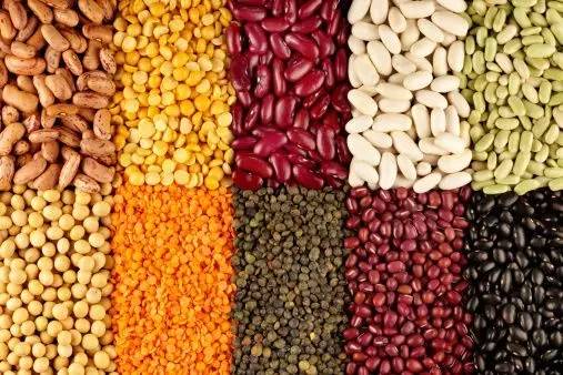 柳暗花明又一村——缅甸豆类市场枯木逢春了吗？