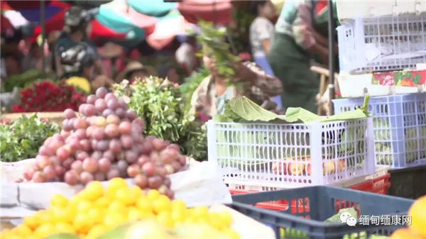 曼德勒水果贸易商预计2018-2019财年水果出口超过10公吨
