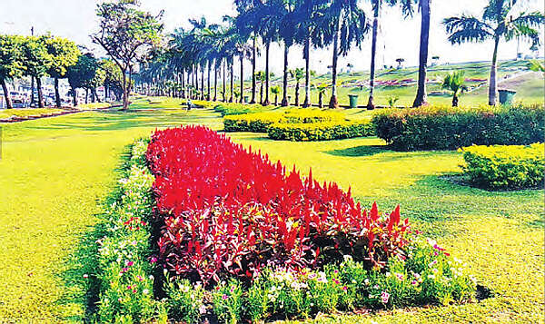 仰光燕子湖畔的老鼠洞