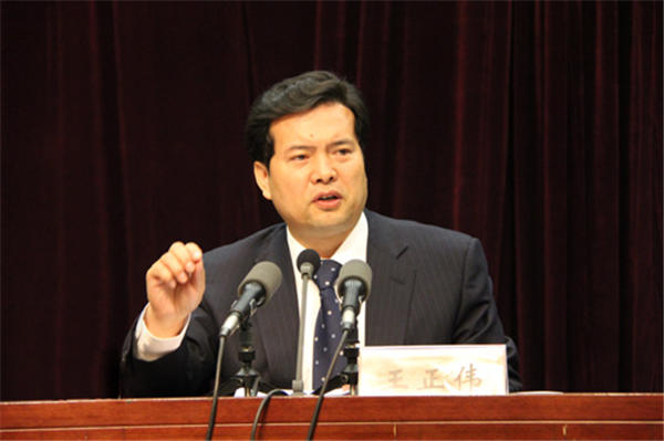 王正伟会见缅甸联邦议会议长兼民族院议长