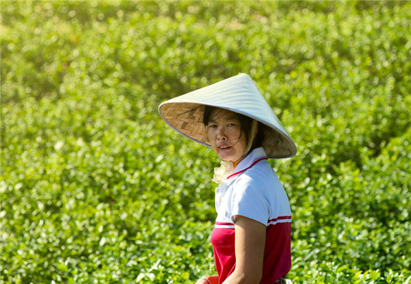 缅甸花农担心中国花卉影响市场